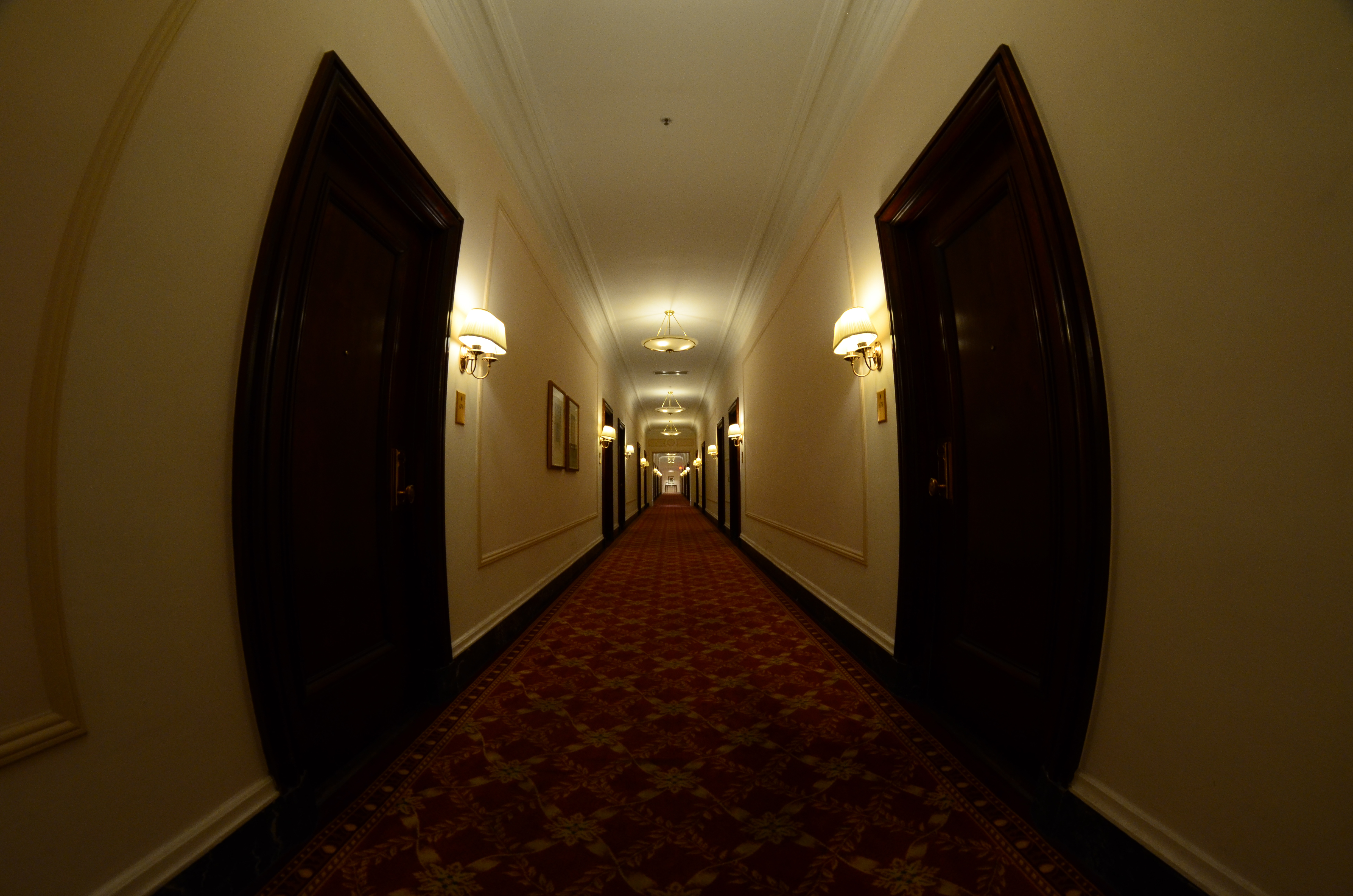 hotel corridor (26/365)
